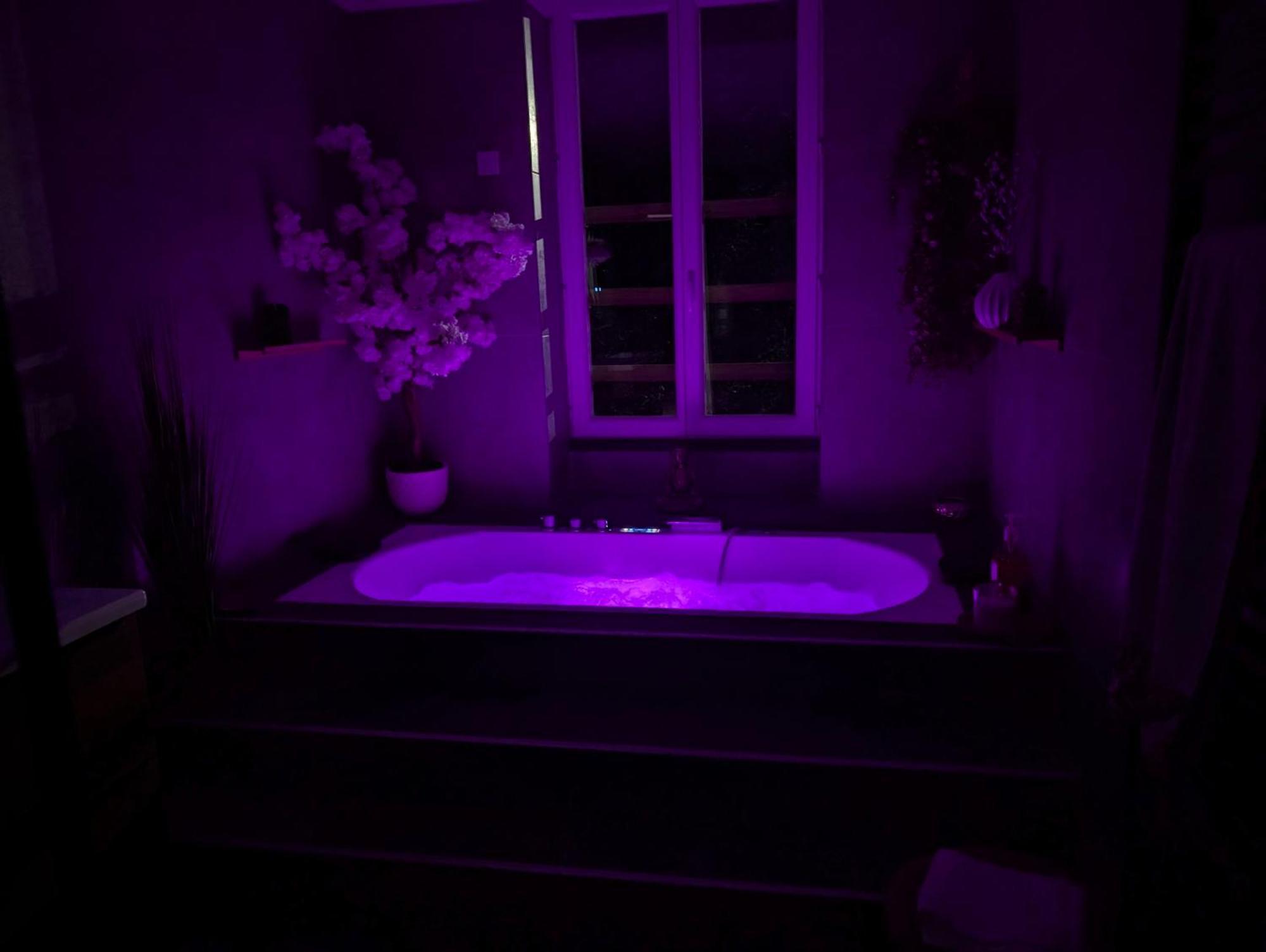 Le Spa - Villa Valmy - Hypercentre - Gare Sncf Montluçon Eksteriør billede